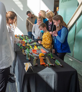 Each body donor is represented by a one-of-a-kind blown glass leaf that will be attached to the memorial tree on WMed's W.E. Upjohn M.D. campus in downtown Kalamazoo.