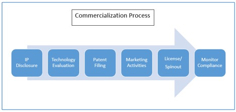 Commercialization Process