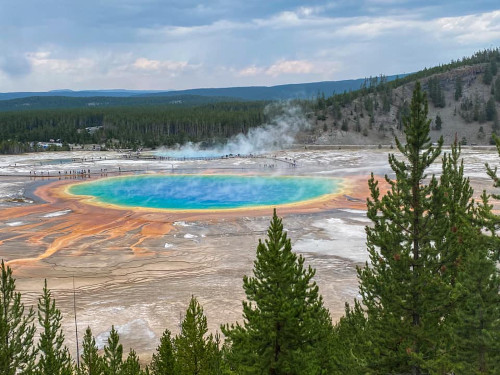 Yellowstone and WMed